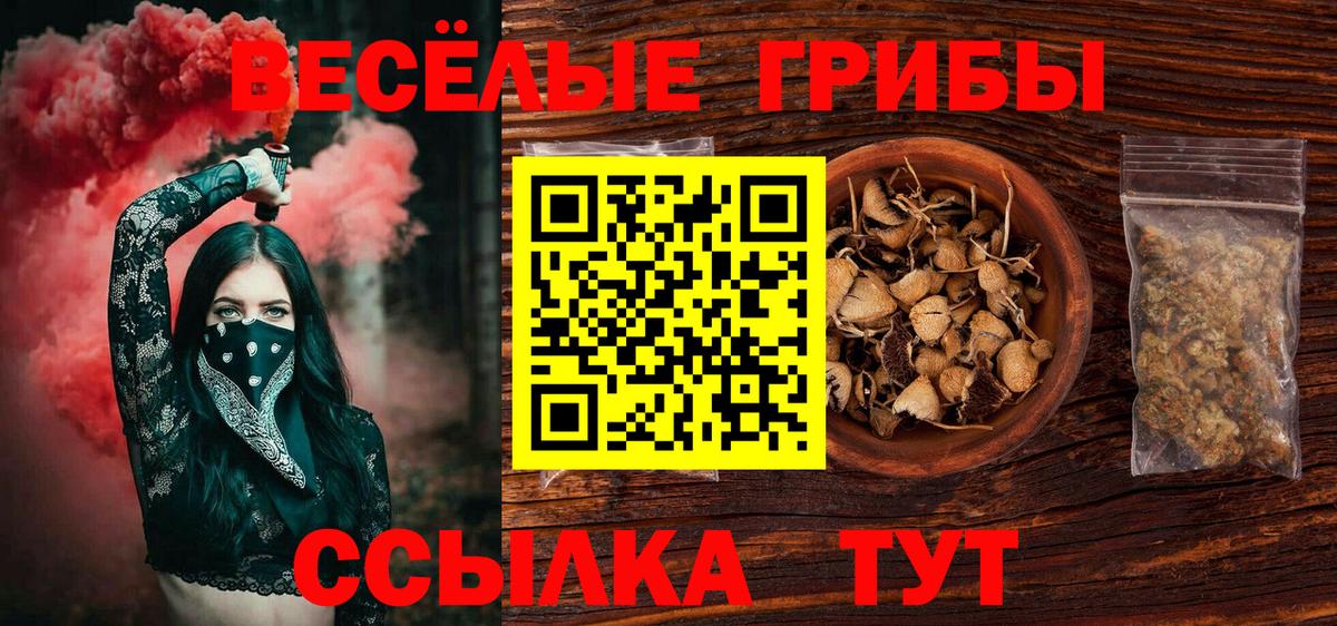 Галлюциногенные грибы ЛСД Лесозаводск
