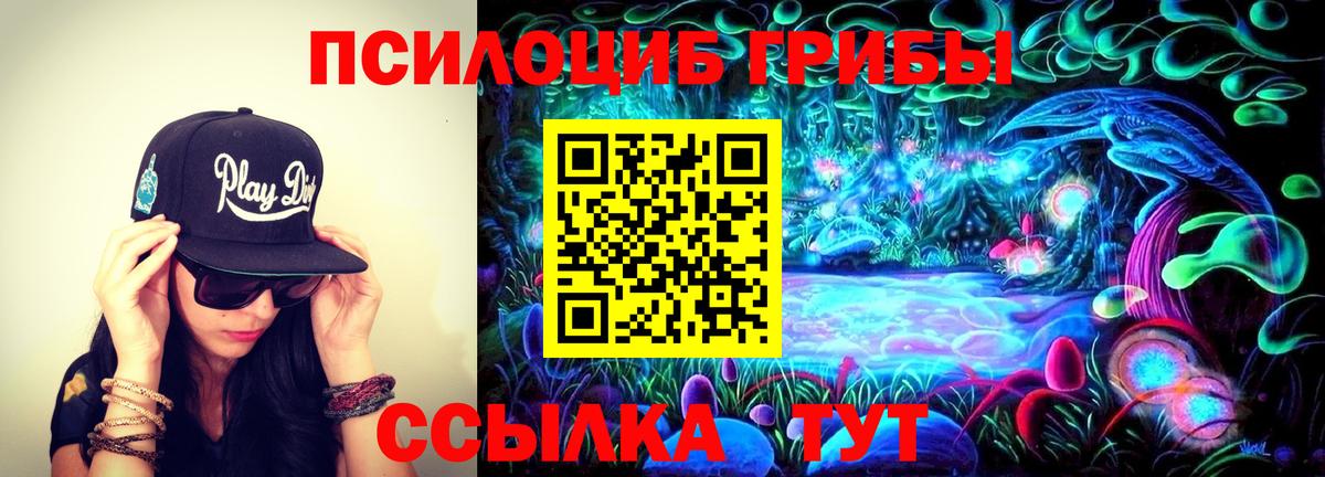 Галлюциногенные грибы MAGIC MUSHROOMS  Вход с VPN  где купить наркоту  Галлюциногенные грибы Cubensis  Лесозаводск 